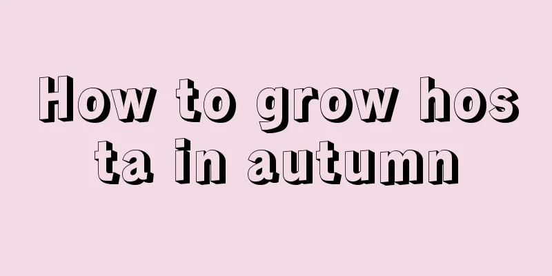 How to grow hosta in autumn