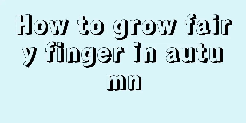 How to grow fairy finger in autumn