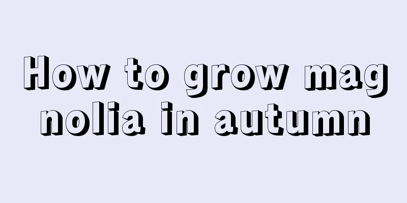 How to grow magnolia in autumn