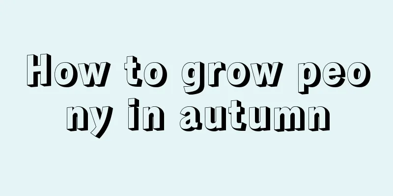 How to grow peony in autumn