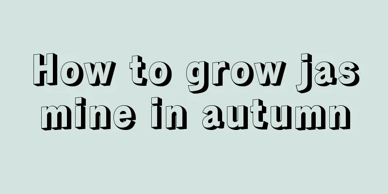 How to grow jasmine in autumn