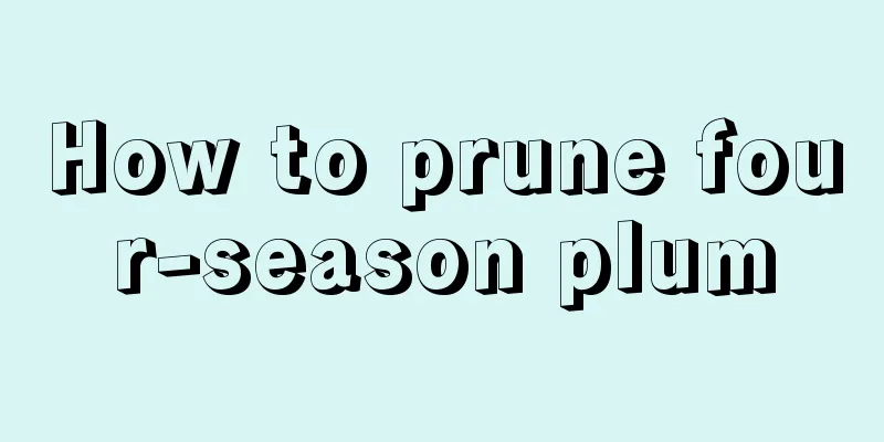 How to prune four-season plum