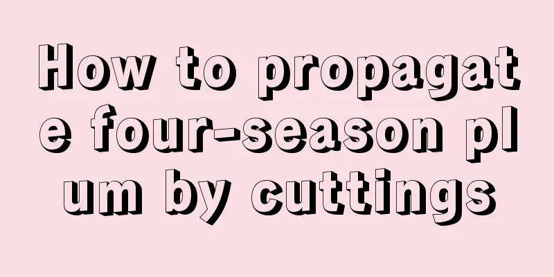 How to propagate four-season plum by cuttings