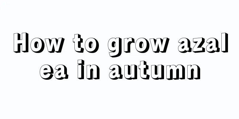 How to grow azalea in autumn