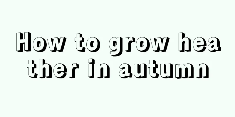 How to grow heather in autumn