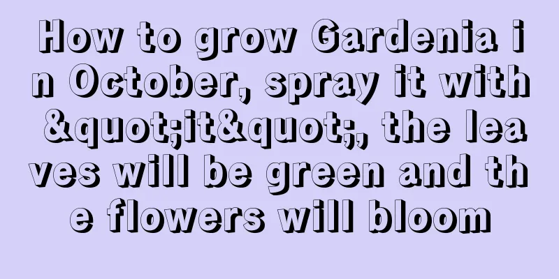 How to grow Gardenia in October, spray it with "it", the leaves will be green and the flowers will bloom