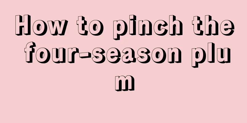 How to pinch the four-season plum