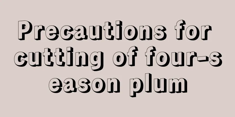 Precautions for cutting of four-season plum