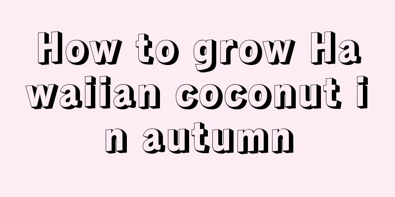 How to grow Hawaiian coconut in autumn