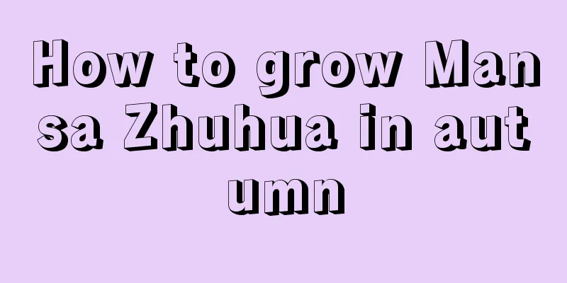 How to grow Mansa Zhuhua in autumn