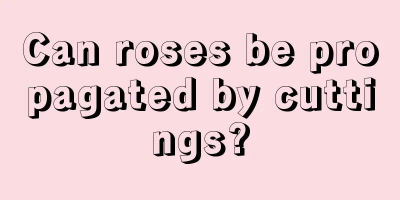 Can roses be propagated by cuttings?