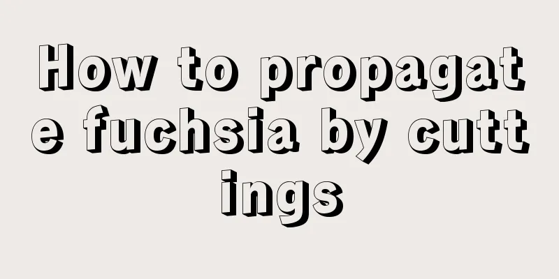 How to propagate fuchsia by cuttings