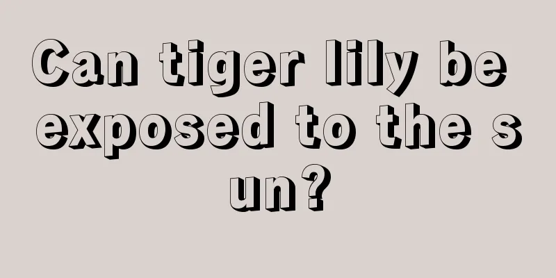 Can tiger lily be exposed to the sun?