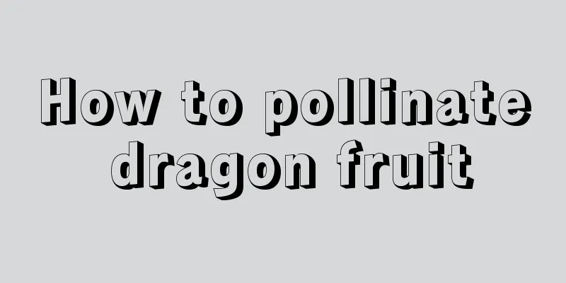 How to pollinate dragon fruit