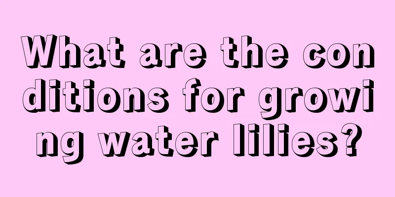 What are the conditions for growing water lilies?