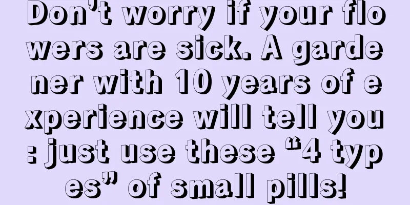 Don’t worry if your flowers are sick. A gardener with 10 years of experience will tell you: just use these “4 types” of small pills!