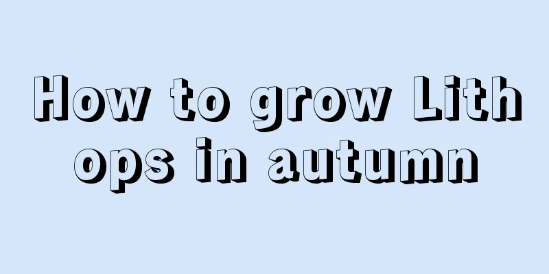 How to grow Lithops in autumn