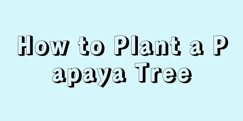 How to Plant a Papaya Tree