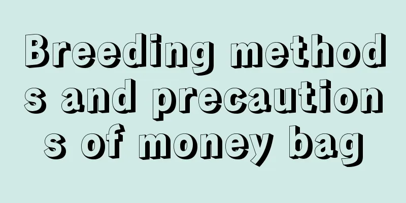 Breeding methods and precautions of money bag