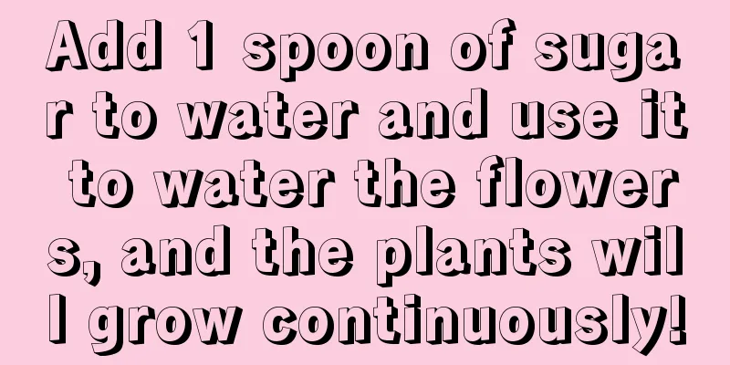 Add 1 spoon of sugar to water and use it to water the flowers, and the plants will grow continuously!