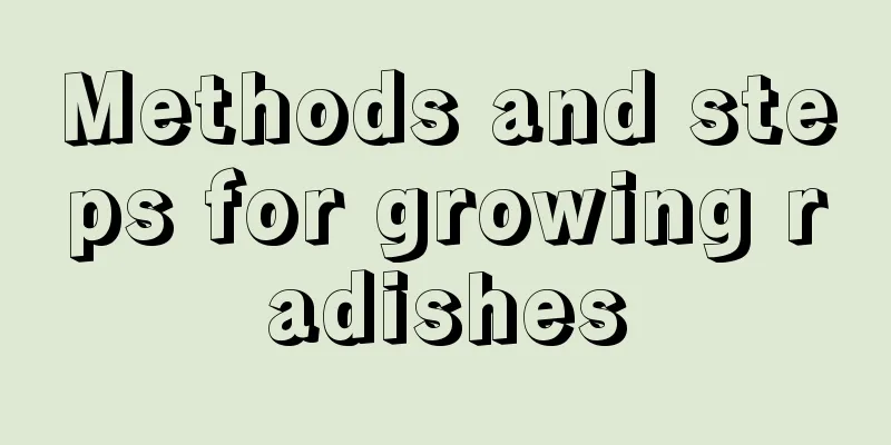 Methods and steps for growing radishes