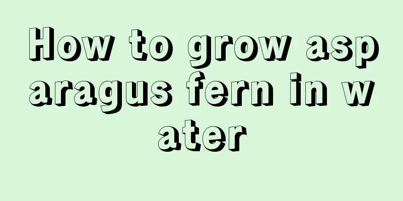 How to grow asparagus fern in water