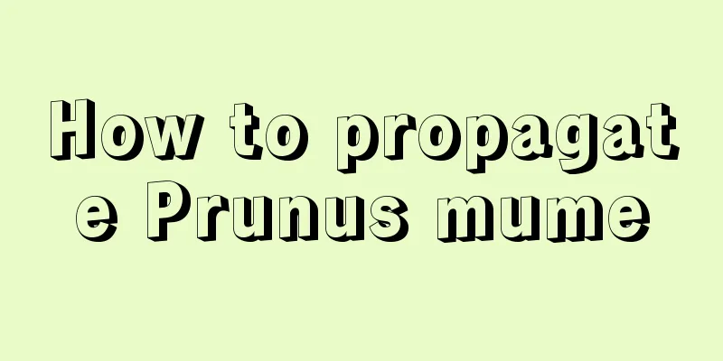 How to propagate Prunus mume