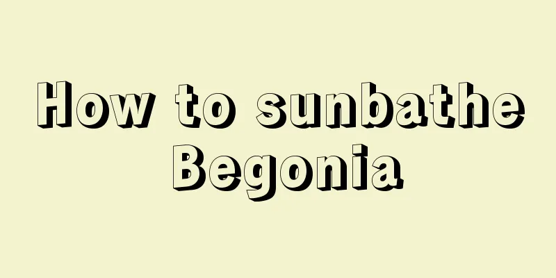 How to sunbathe Begonia