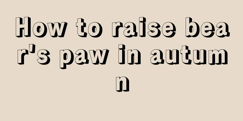 How to raise bear's paw in autumn