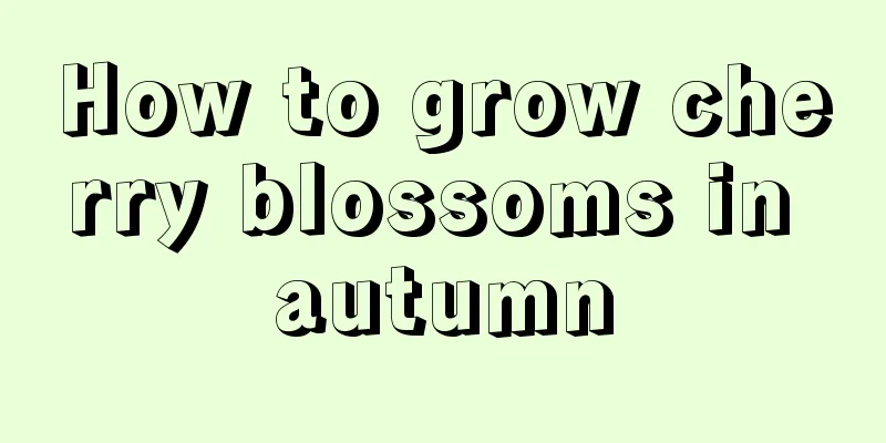 How to grow cherry blossoms in autumn