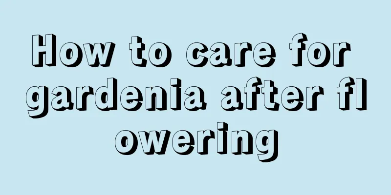 How to care for gardenia after flowering