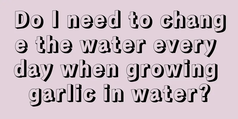 Do I need to change the water every day when growing garlic in water?