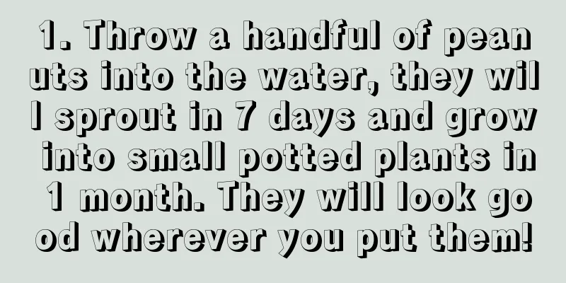 1. Throw a handful of peanuts into the water, they will sprout in 7 days and grow into small potted plants in 1 month. They will look good wherever you put them!