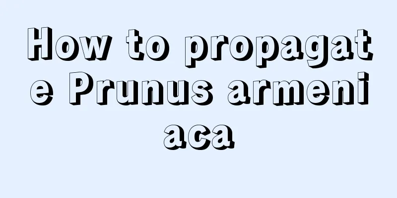 How to propagate Prunus armeniaca