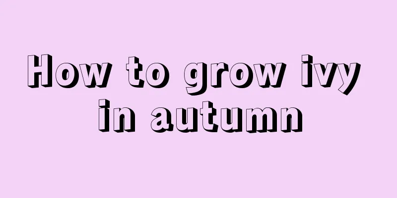 How to grow ivy in autumn