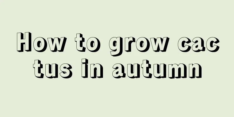 How to grow cactus in autumn