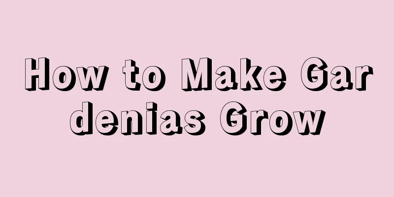 How to Make Gardenias Grow