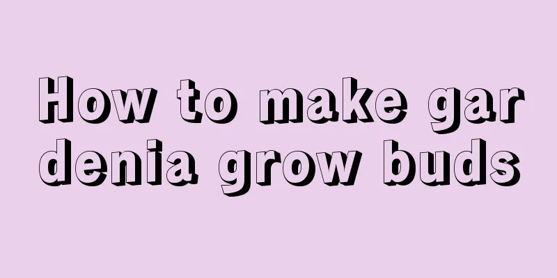 How to make gardenia grow buds