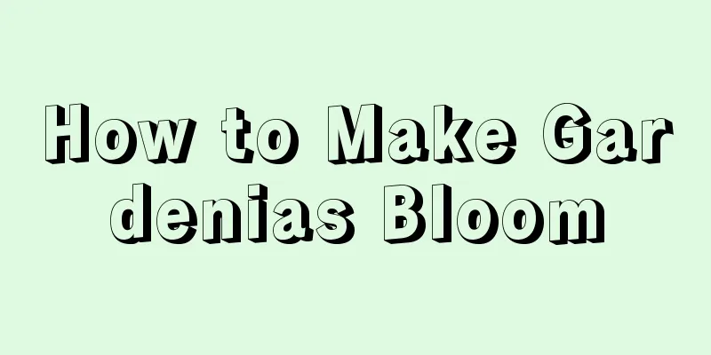 How to Make Gardenias Bloom