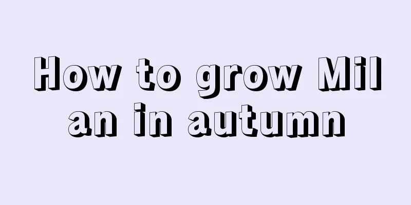 How to grow Milan in autumn