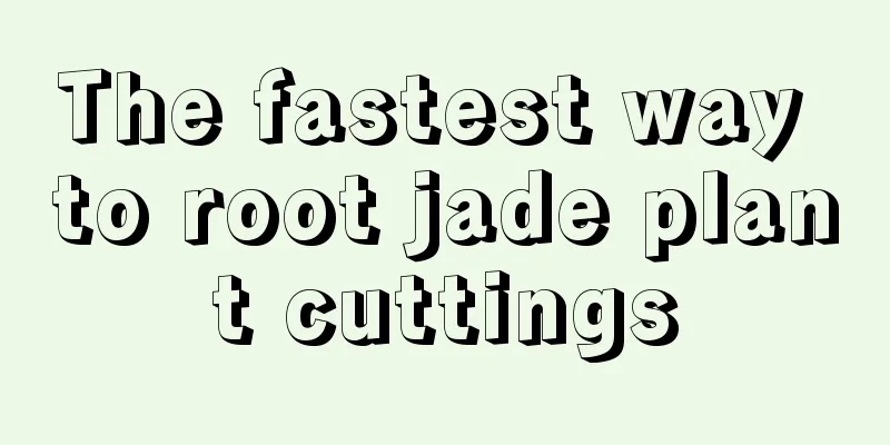 The fastest way to root jade plant cuttings