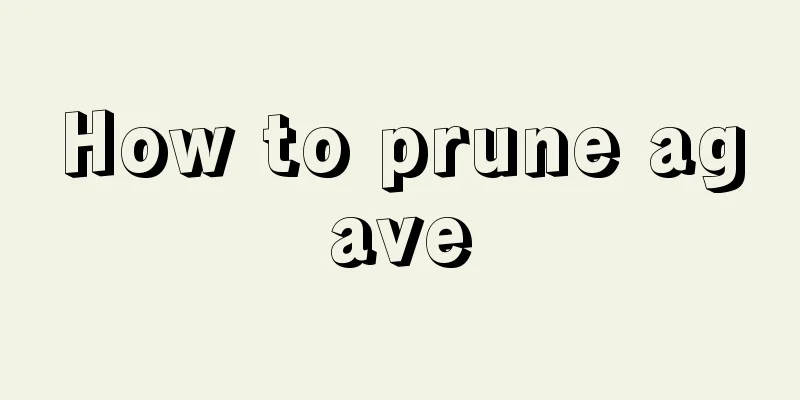 How to prune agave