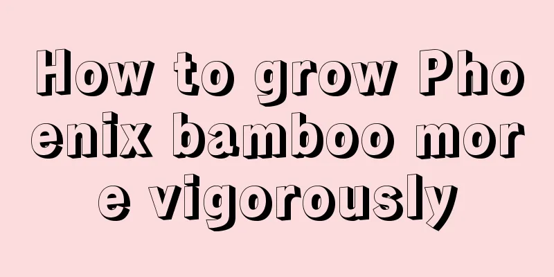 How to grow Phoenix bamboo more vigorously