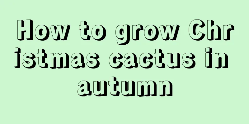 How to grow Christmas cactus in autumn