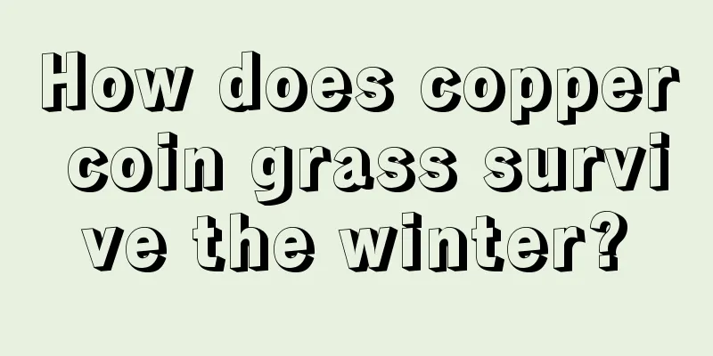 How does copper coin grass survive the winter?