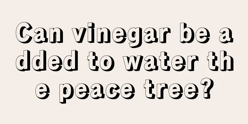 Can vinegar be added to water the peace tree?