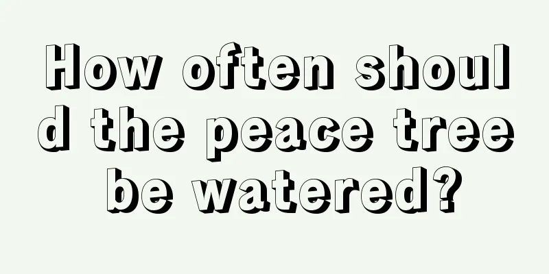 How often should the peace tree be watered?