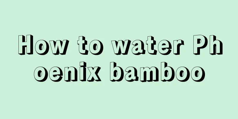 How to water Phoenix bamboo