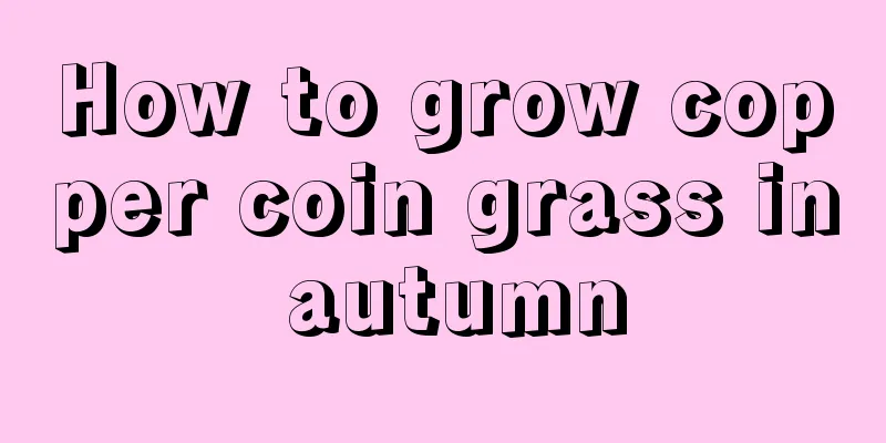 How to grow copper coin grass in autumn