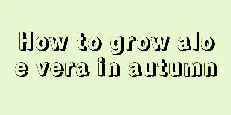 How to grow aloe vera in autumn